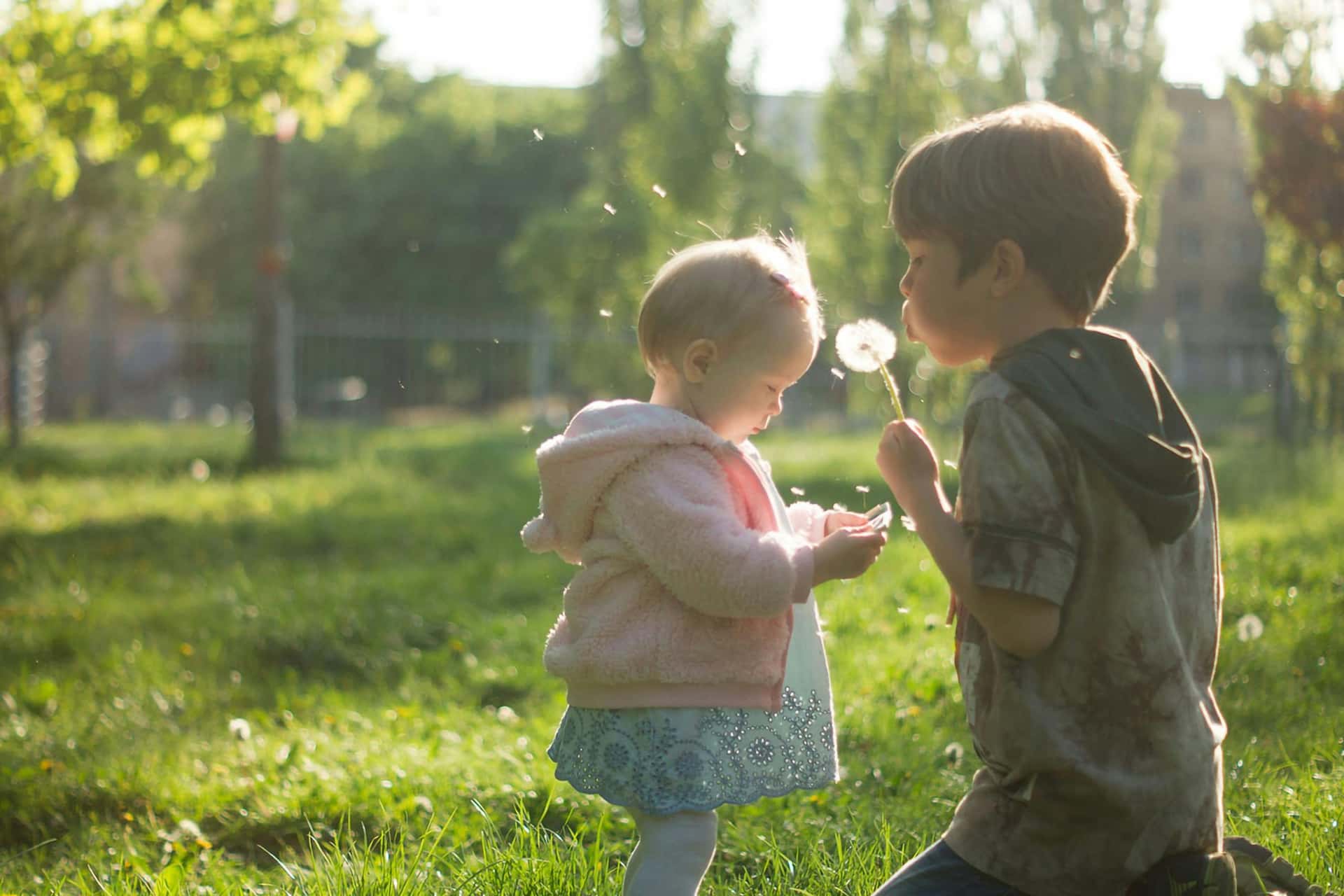 Naturalna sesja dziecięca w plenerze Katowice – mała dziewczynka w różowej bluzie i chłopiec dmuchający latawce z mlecza, rodzeństwo bawiące się w ogrodzie o zachodzie słońca, fotografia dziecięca Śląsk.